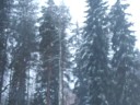 Snowstorm(blizzard) in Kouvola Finland Snowstorm(blizzard) in Kouvola Finland