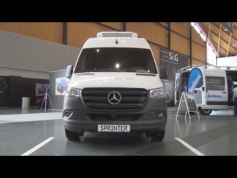 Mercedes-Benz Sprinter 316 CDI Cooling Refrigerated Panel Van (2020) Exterior and Interior