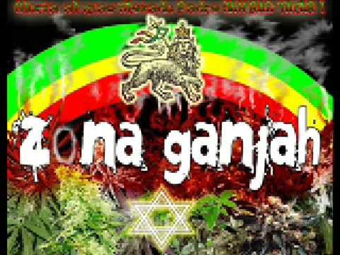 Por lo que obtuve - Zona Ganjah