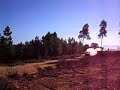 rally neves & bandeira 2007