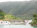 videos de New Zealand - Ferry Crossing Arriving in Picton