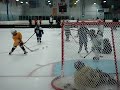 mini mites II