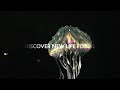 Vancouver Aquarium Commercial (2013) (Television Commercial)
