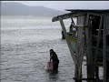 Cooperative Dolphins of Laguna: 3 Successive Signals Cooperative Dolphins of Laguna: 3 Successive Signals