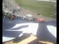 LA REVO 1928 MANTA GIGANTE CONTRA LOS PERROS 2012