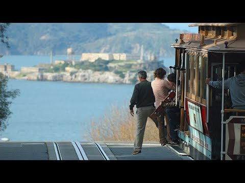 ViatorTravel