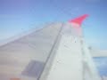 something on the wing