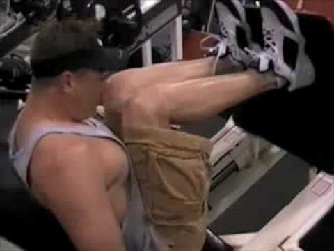 muscular legs