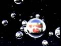Lançamento da Vinheta de Fim de Ano da Globo