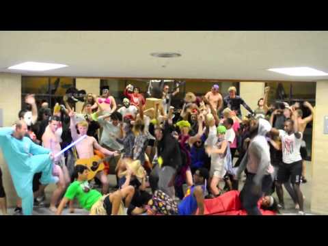 Texas State - Harlem Shake - Texas State University @Blanco Hall GO BOBCATS! Credits: Director - Kyle C. Smith Producer/Editor - Jacob Roberson Director of Photography - M...
