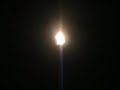 delta-ii-launch-carrying-phoenix-mars-lander-august-2007.html