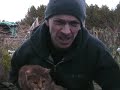 thumbnail of video