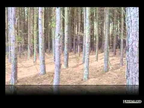 Todd Kohlhepp - www.HomesAndLand.com 5.65 acres of level land on Otts Shoals Road in highly sought after Spartanburg School District Six, within walking distance of Gable Mi...