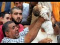 Haluk LEVENT | Corc W. Bu?(t)!.. [halukweb|sudasim]