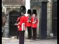 TRIBUTE to Queens Guard St James's Palace London