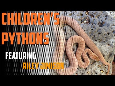 YouTube reptile video