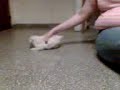 Gaspar jugando