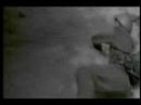 5000 rpm- Apatía clip 5000 rpm- Apatía clip