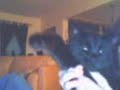 Video Cam Direct Upload