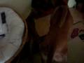 videos de CIMG7797