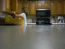 the cooking show ( iron chef )