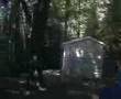 Tamarack 07