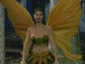 videos de Dancing Fae