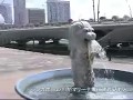 シンガポール旅行