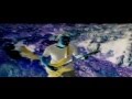 Ver Video