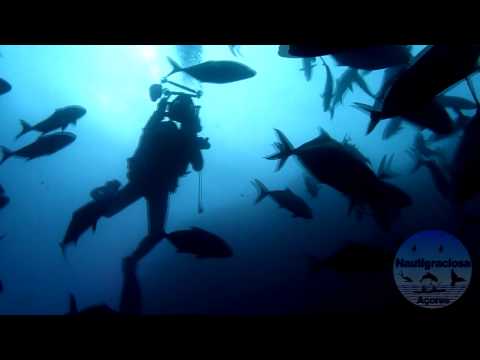 Buceo Azores - Isla Graciosa