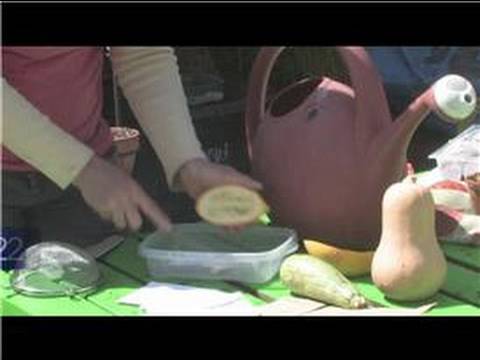 how to dry squash seeds to plant