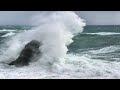 vivaldi la tempesta di mare  f vi-12 claudio ferrarini flute accademia farnese