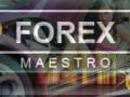 Forex Maestro Review and Bonus