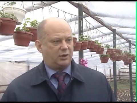 Просмотр видео