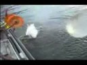 Trubite to Troops - Squid Jigging by  Hank Snow