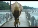 Trubite to Troops - Squid Jigging by  Hank Snow