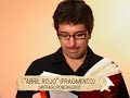 Santiago Roncagliolo - Madres de Plaza de Mayo