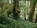 Walking With Dinosaurs: Changing Seasons