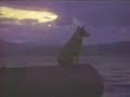 the littlest hobo