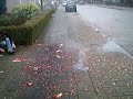 Wims eerste pijltje