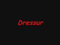 Dressur