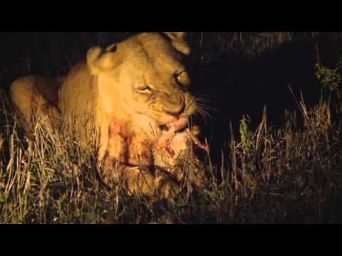 Sudafrica: Pretoria, Kruger National Park, Blyde River Canyon.