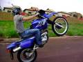 videos de XT600 Ramon