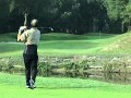 Golfer dans les Landes Voir la vidéo