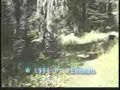 Freeman Bigfoot Footage Freeman Bigfoot Footage