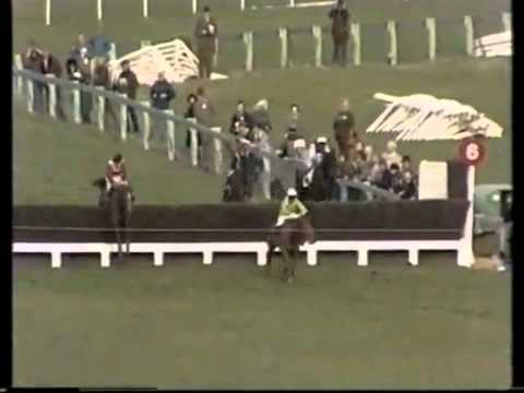 cheltenham gold cup