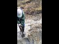 Click here to watch this video Sediment Gravity Flow and Liquefaction in Williamstown