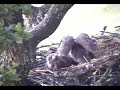 Combined (funny vids) Combined (funny vids)