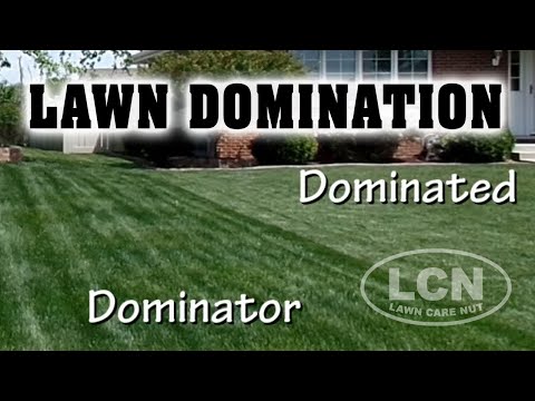 How To Dominate Your Neighbor's Lawn