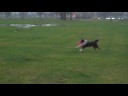 tash & vanya, frisbee, november 2008 tash & vanya, frisbee, november 2008
